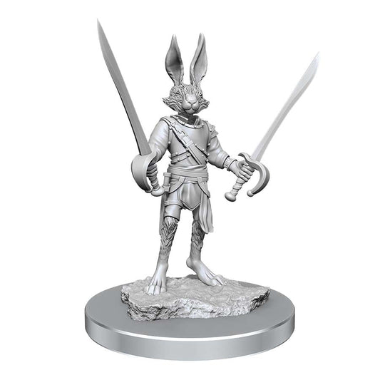 D&D Nolzur's Marvelous Unpainted Miniatures - W17 Harengon Rogues