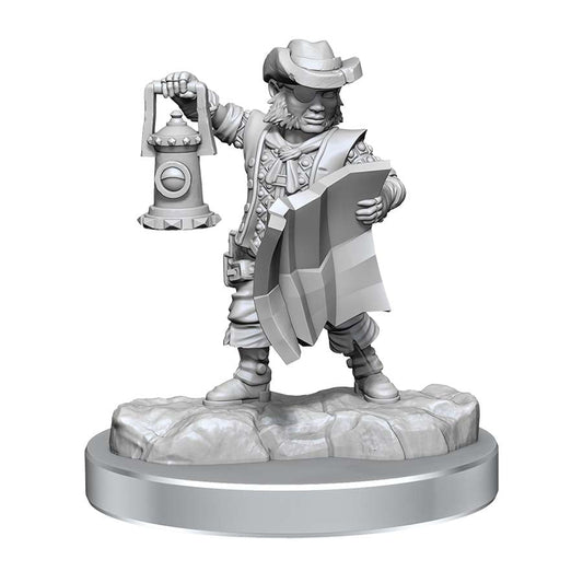 Dungeons and Dragons: Frameworks: W2A Male Halfling Rogue